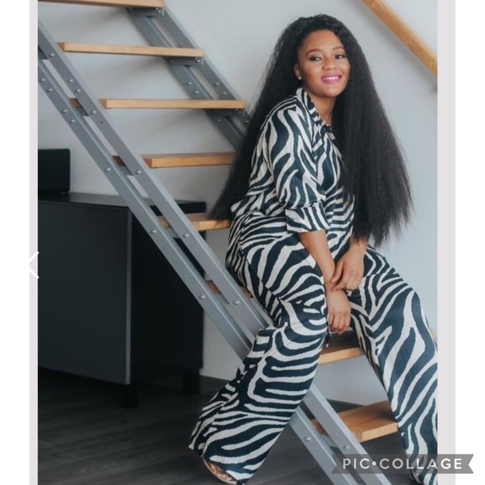 NWT H&M Blogger Fave Zebra Print Satin Shirt/Pants - Picture 2 of 12